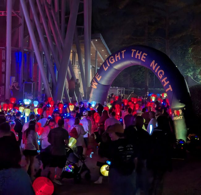 Light the night 3