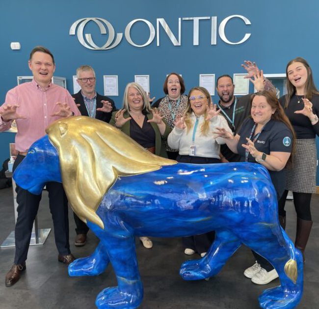 Lions at Large sponsorship